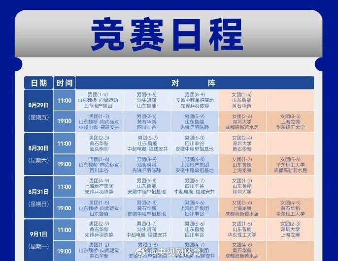 山东鲁能v 山东鲁能v