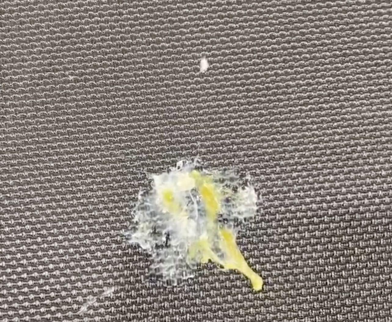 球员们来到, 了这个