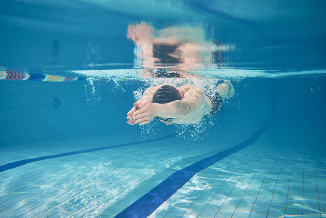 在游泳中 在游泳中